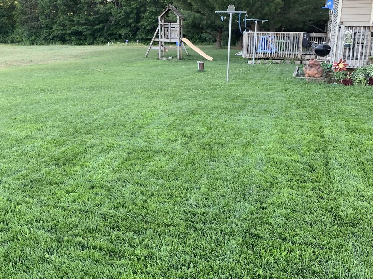 JCTX Southeast Texas lawn care 1